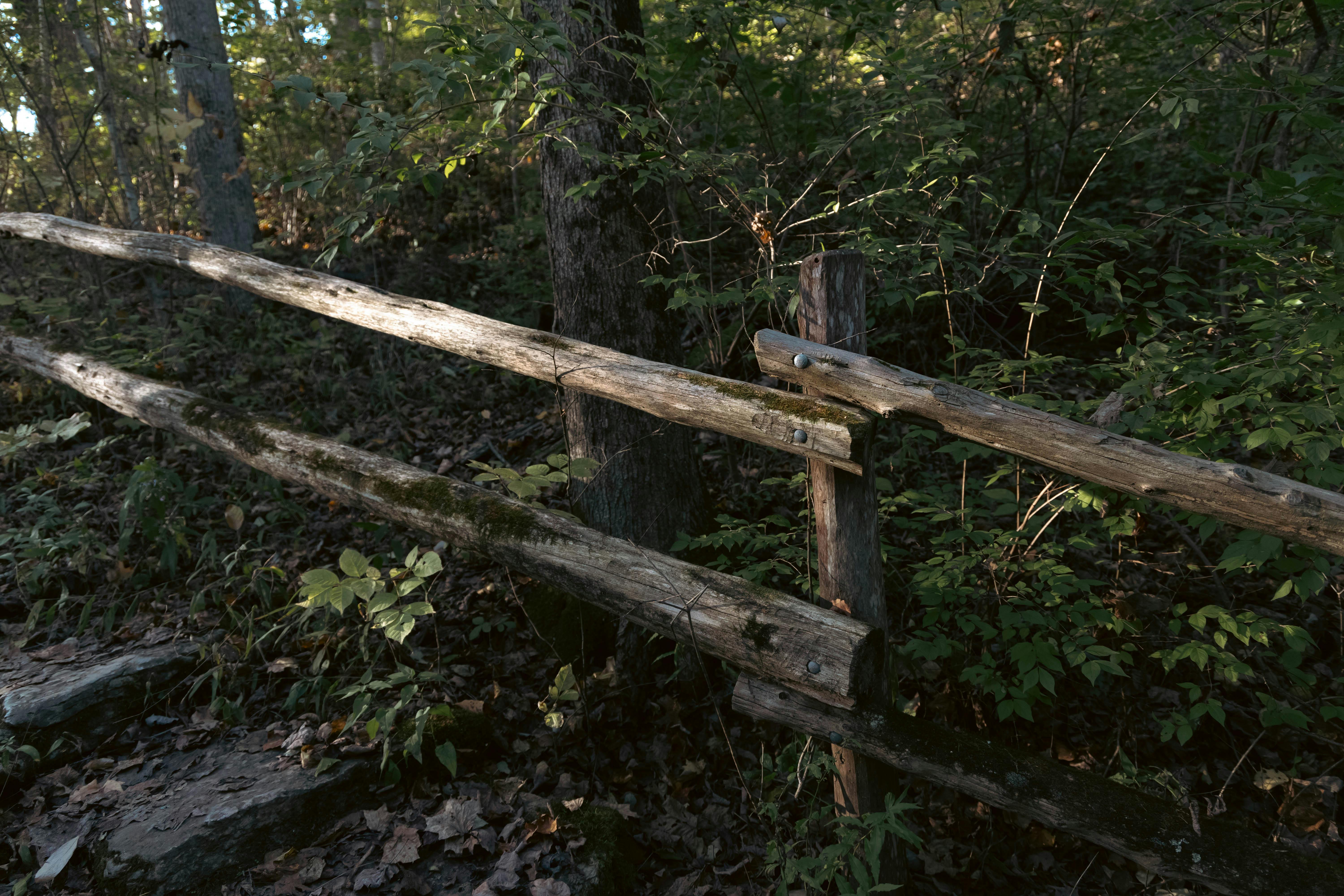 Clôture En Bois Rustique Dans Une Zone Boisée Au Crépuscule