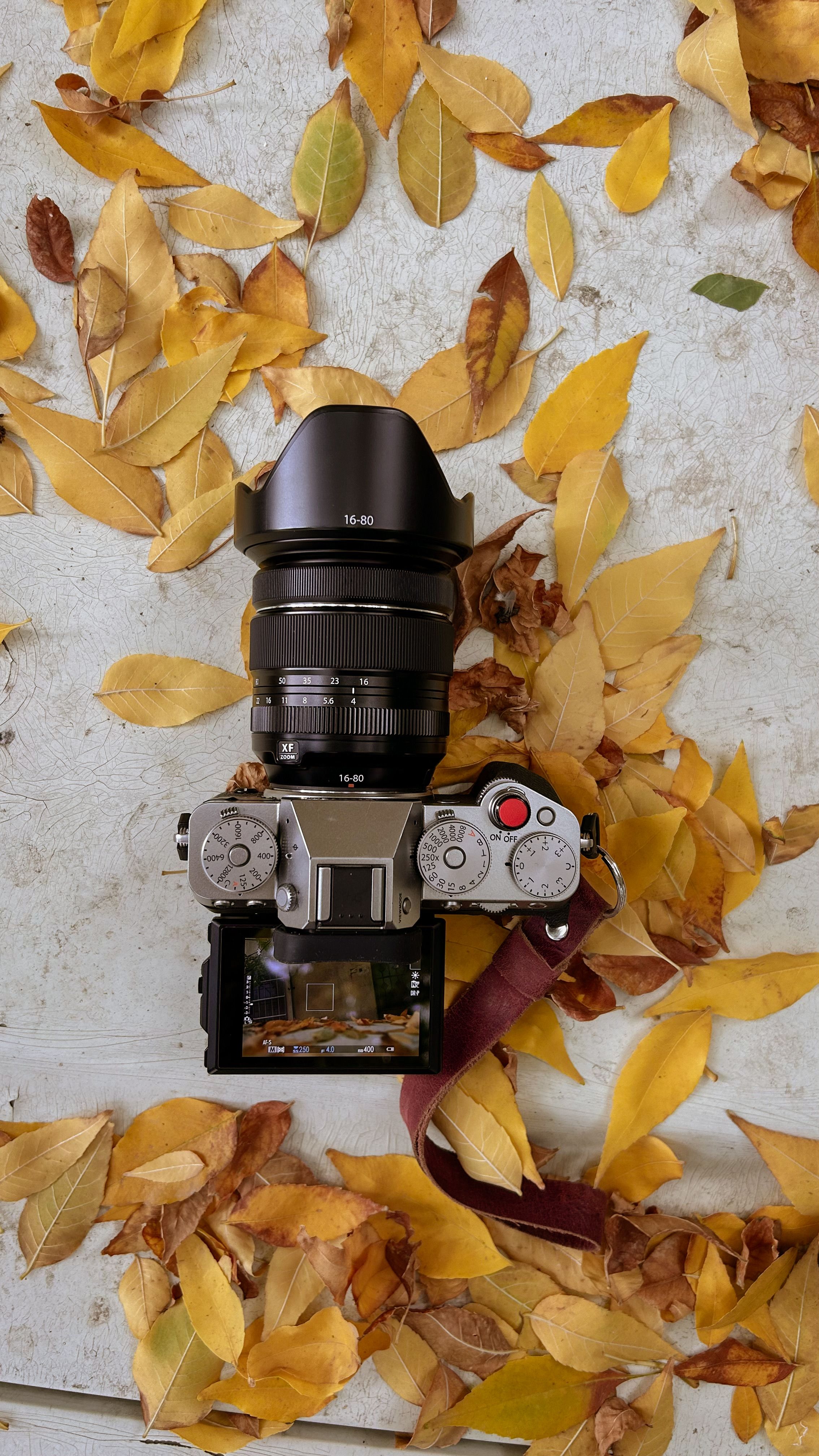 Camera with Autumn Leaves Flat Lay Shot · Free Stock Photo