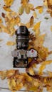 Camera with Autumn Leaves Flat Lay Shot