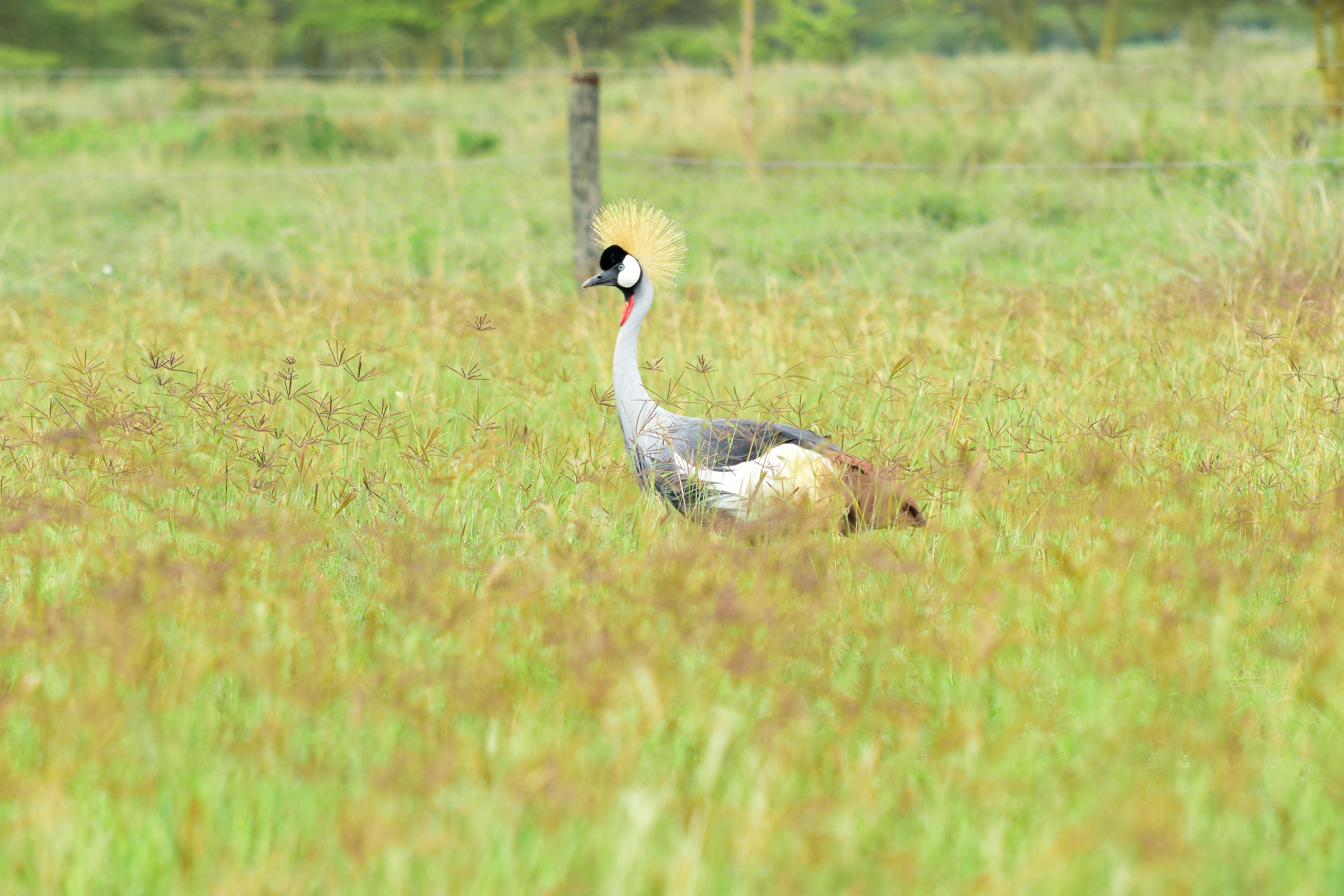 Zip Code Kenya Photos, Download The BEST Free Zip Code Kenya Stock