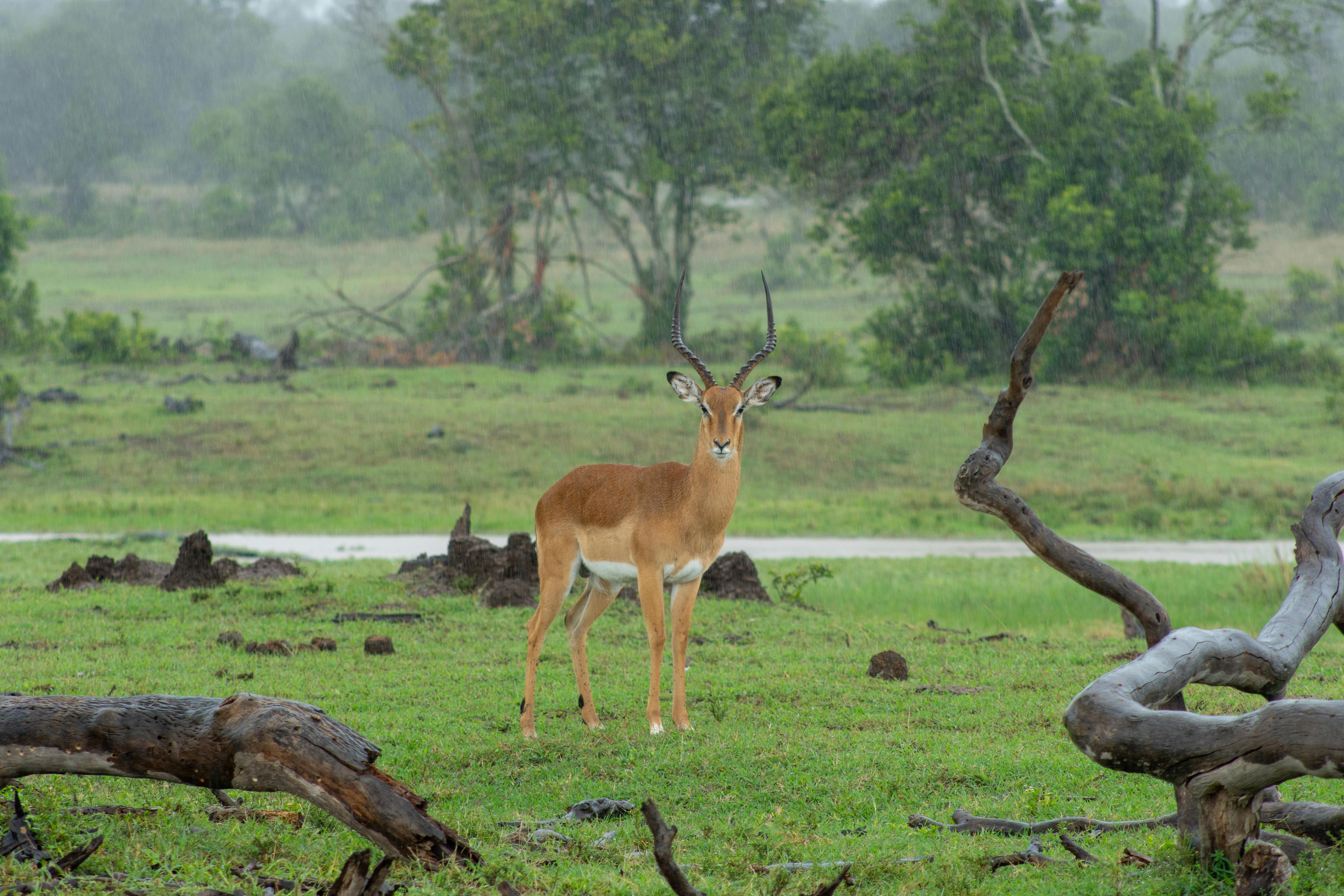Landmarks in Nanyuki