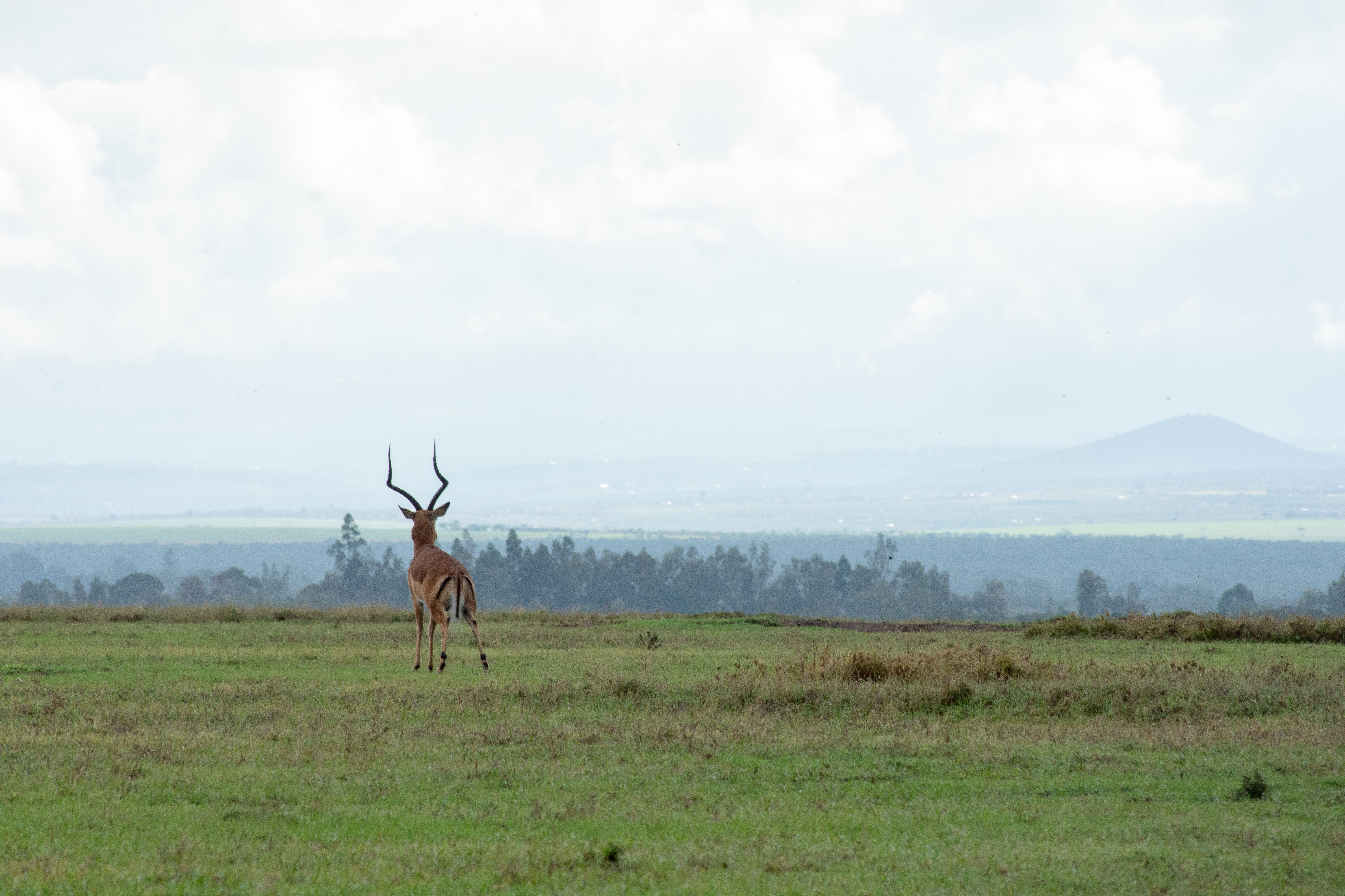 Landmarks in Nanyuki