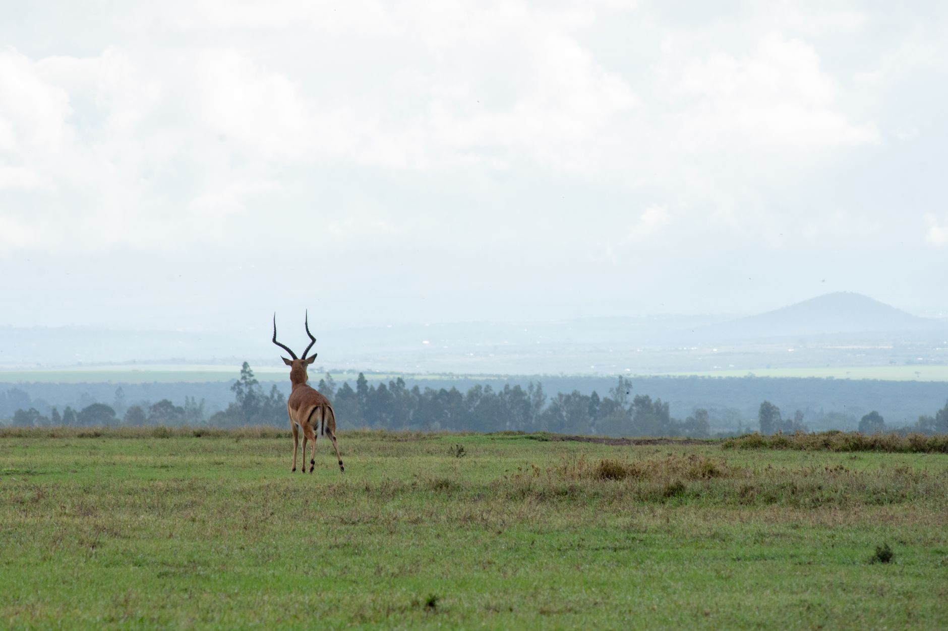 Popular sights in Nanyuki Landmarks in Nanyuki
