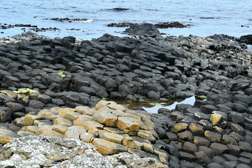 Free stock photo of basalt, coast, geology