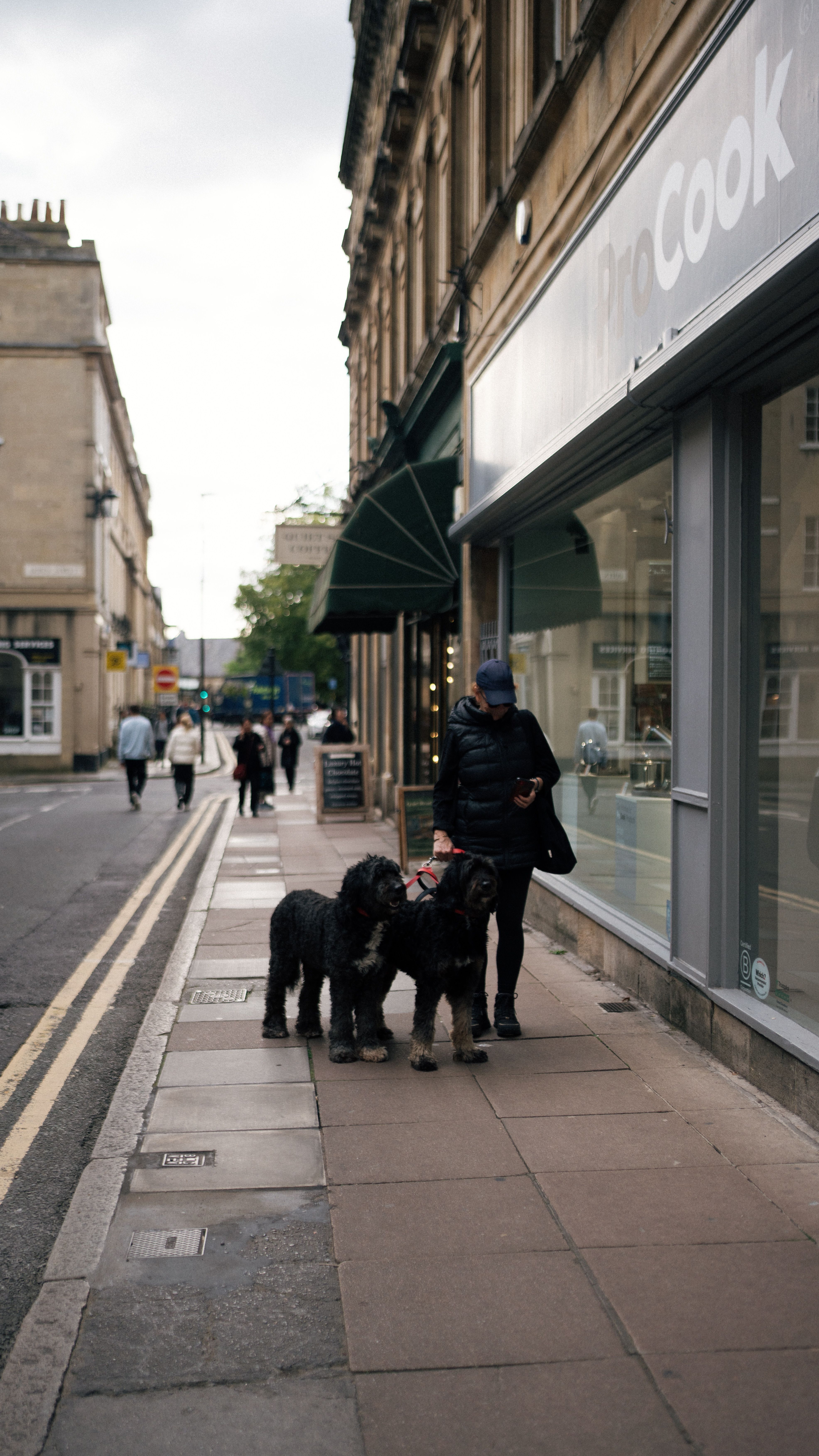 Street view of a person walking two dogs in an urban setting with shops.