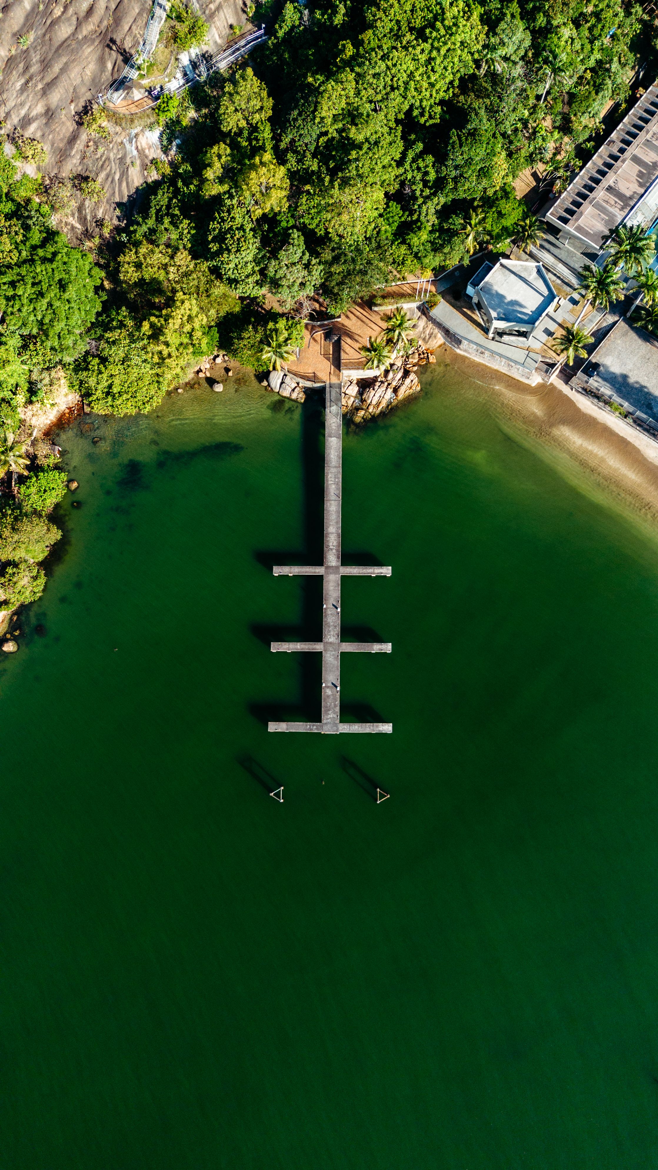 Stunning aerial photo showcasing the pier and greenery in Vitória, Brazil.