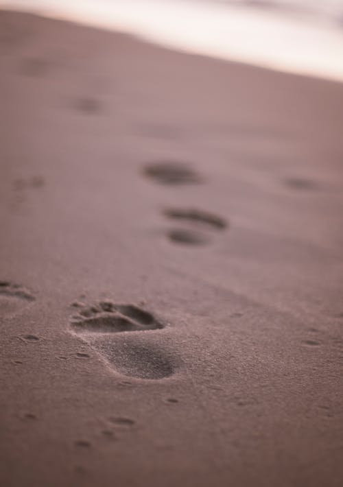 Close-Up Photo of Footprints on Sand