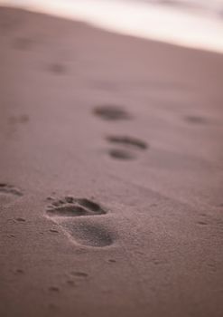 Close-Up Photo of Footprints on Sand