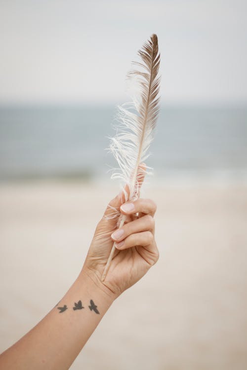 Person Holding a Feather