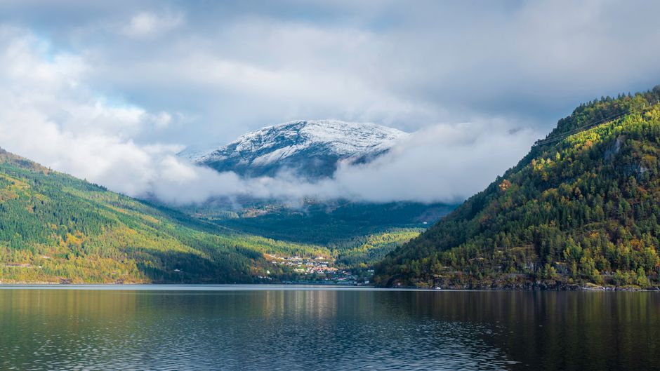 Norway Becomes First Country to Ban Imports of Deforestation-Linked Timber