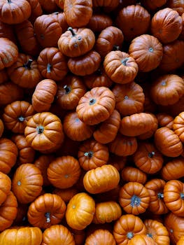 A heap of bright orange pumpkins perfect for fall and Halloween decorations.