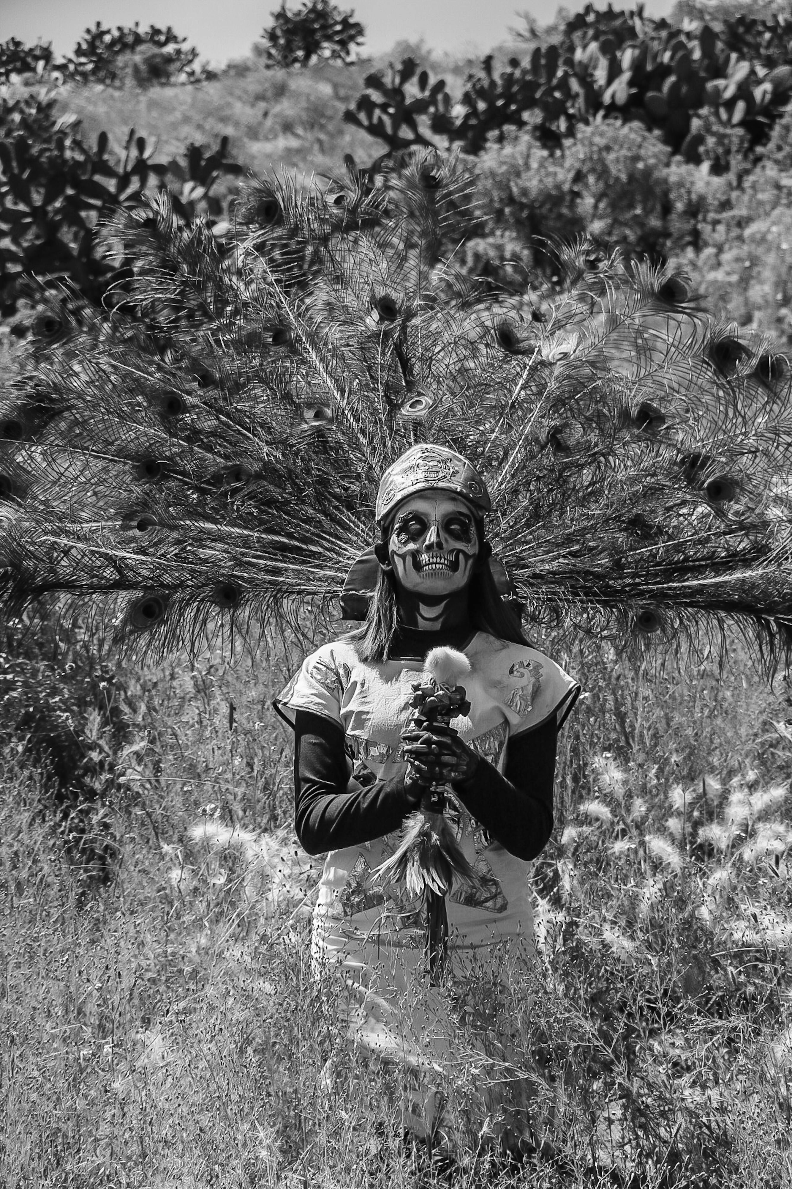 Festivalul Pană de Păun revine la Bistrița cu a XV-a ediție, pe 19-20 noiembrie