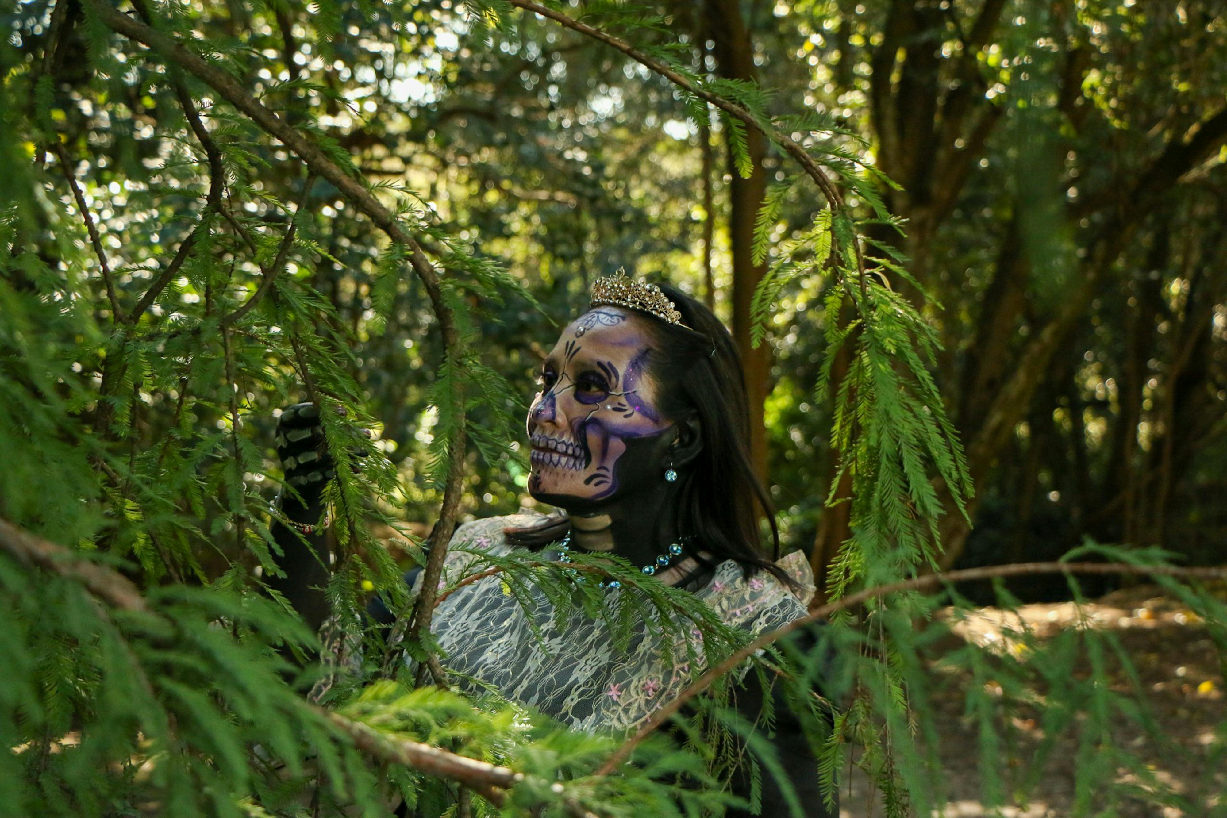 I'm A Celebrity crowns 'jungle legend' after eventful all-star series - BBC — Photo by Anya  Juárez Tenorio on Pexels