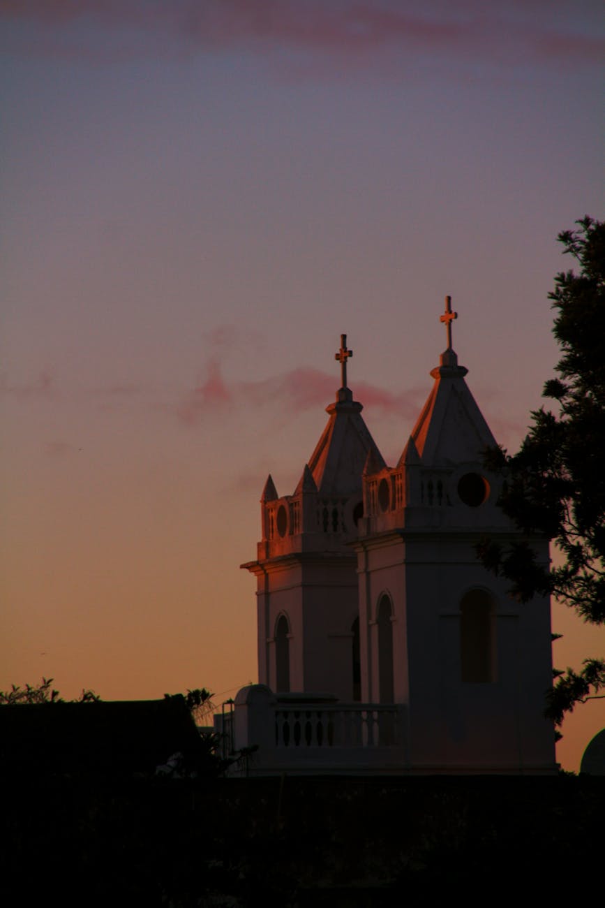 아실라 갤러리 이미지