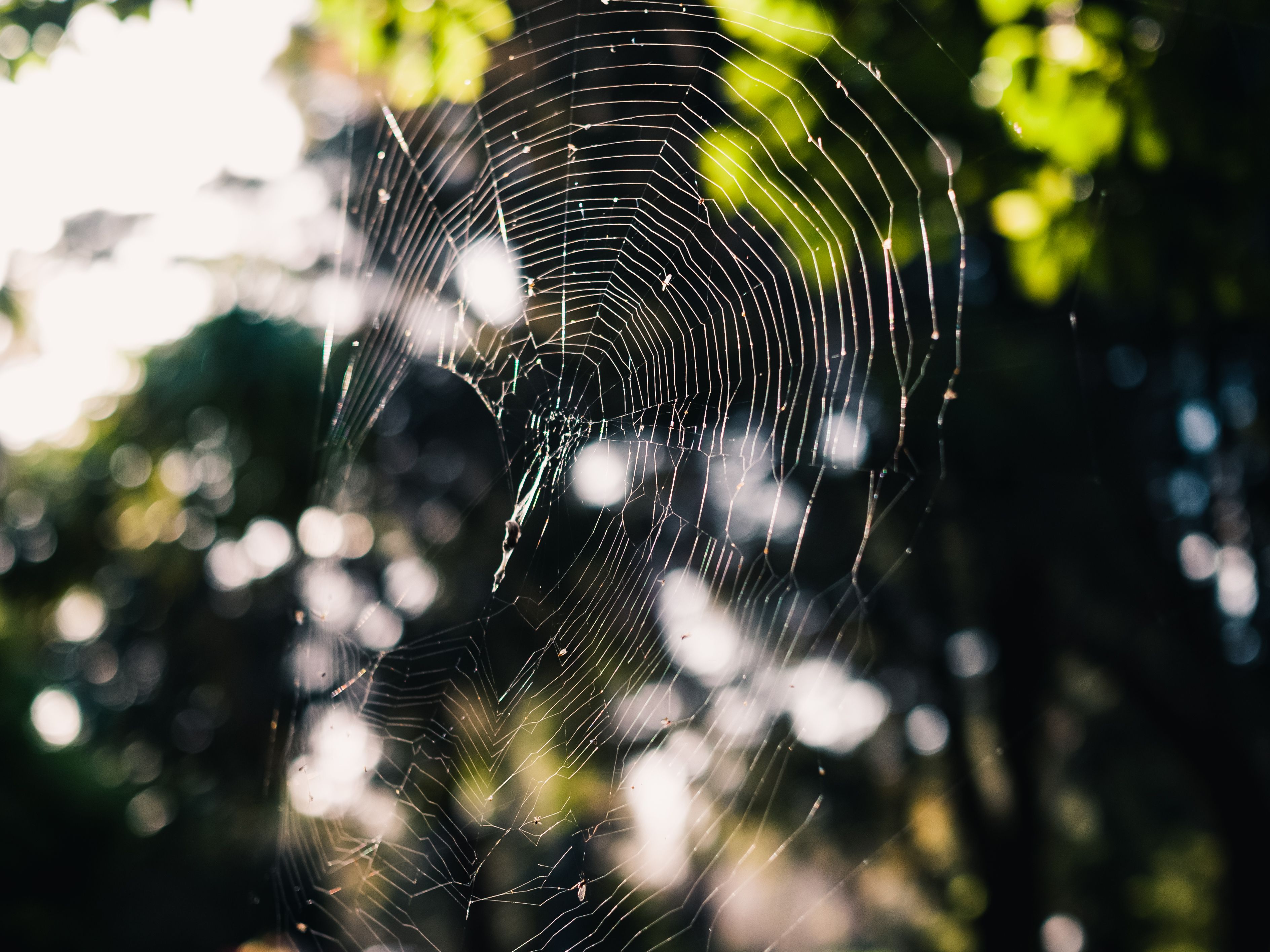 web scraping without getting blocked