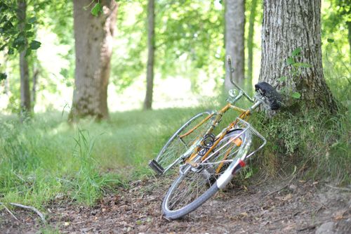 Free A bicycle leaning against a tree in a bright green forest trail, capturing an outdoor adventure scene. Stock Photo