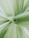 Close-up of Green Tropical Leaf Pattern