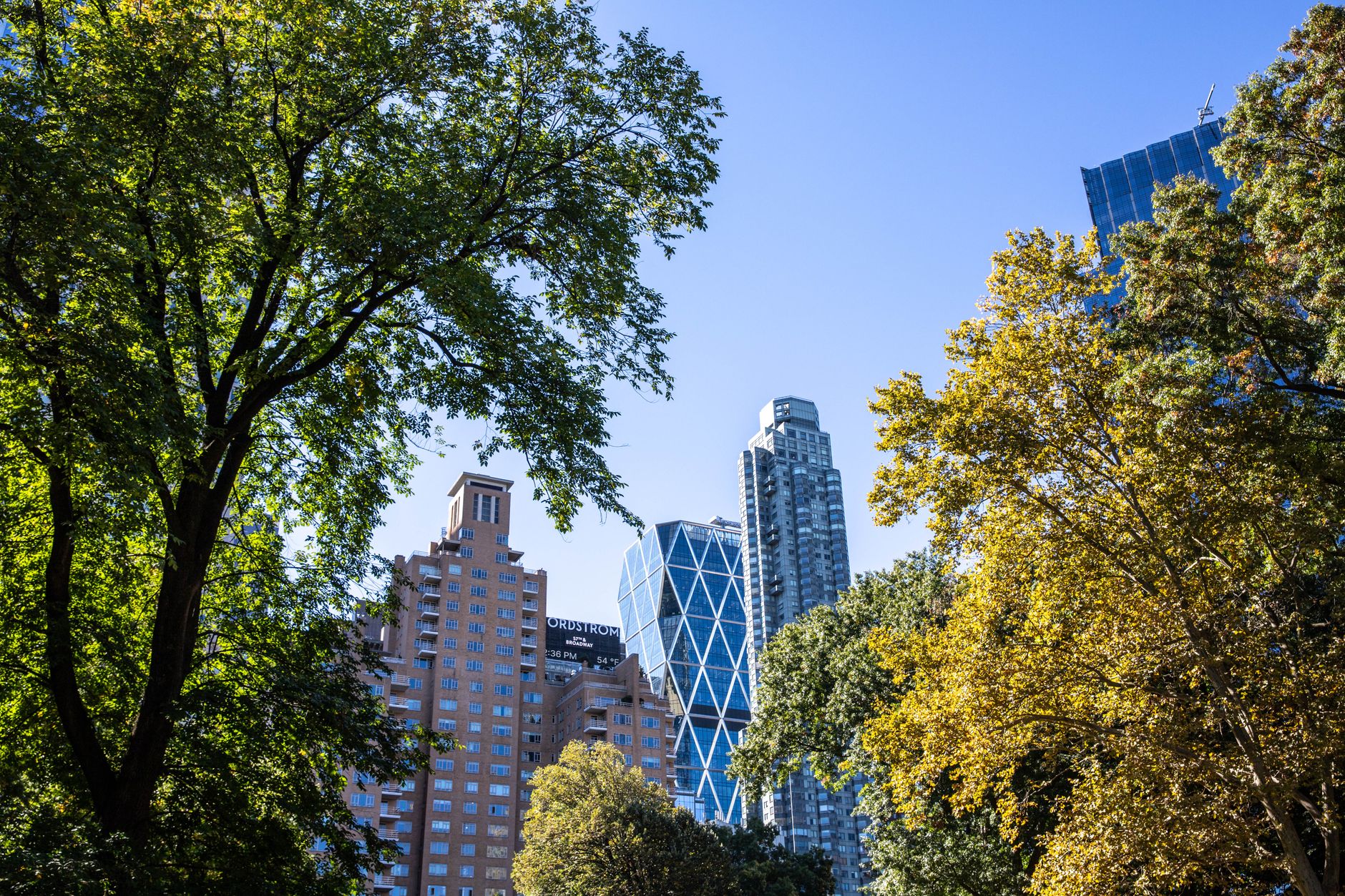 Scenic view of New York City skyscrapers framed by trees in Central Park.
