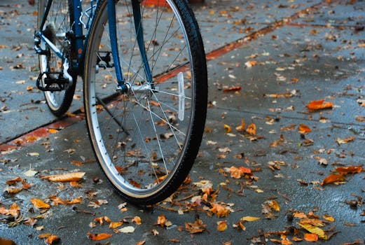 Close-up of a bicycle wheel on wet pavement covered with autumn leaves in San Carlos, California.