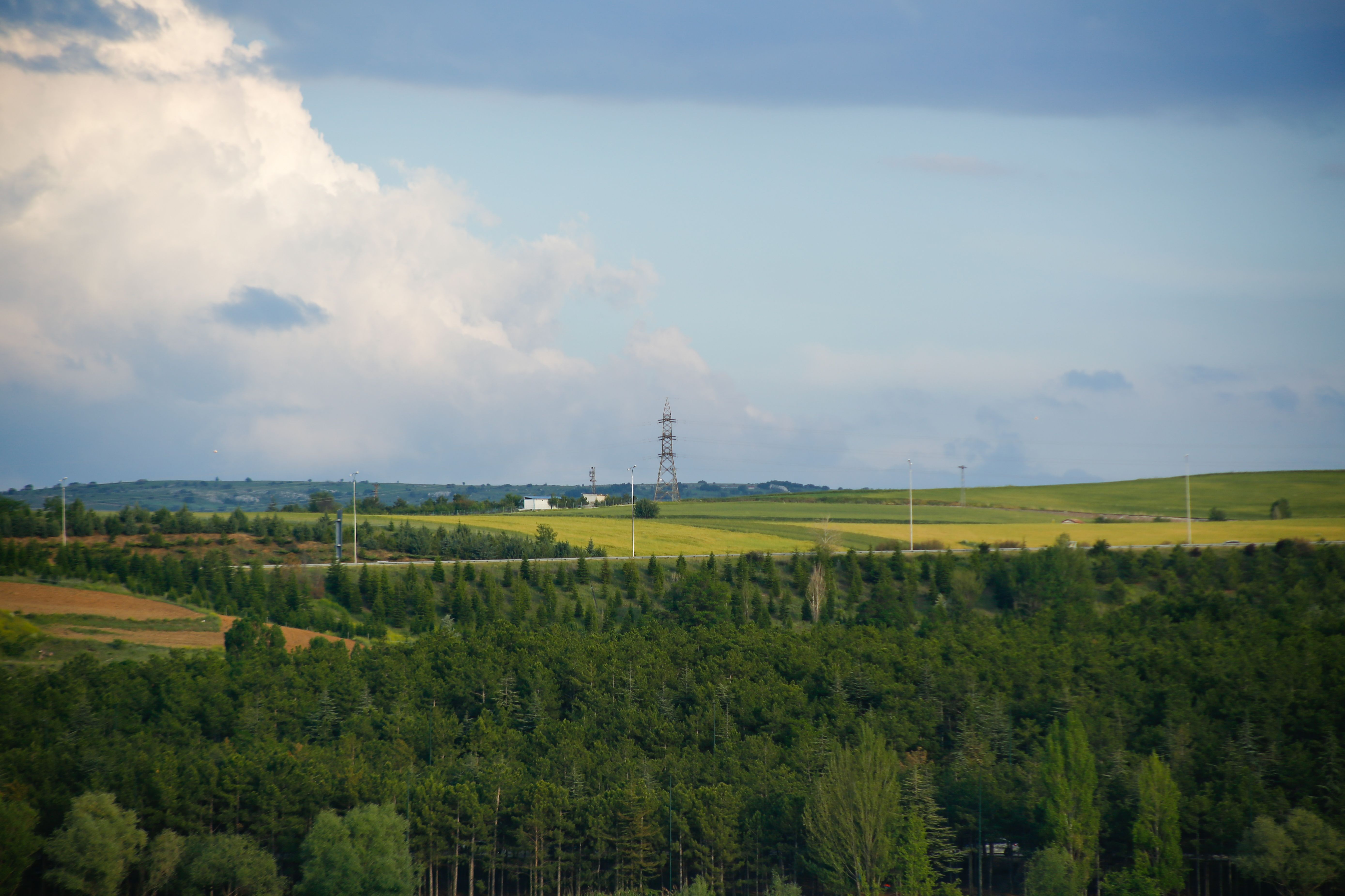 Scenic Rural Landscape with Lush Green Fields · Free Stock Photo