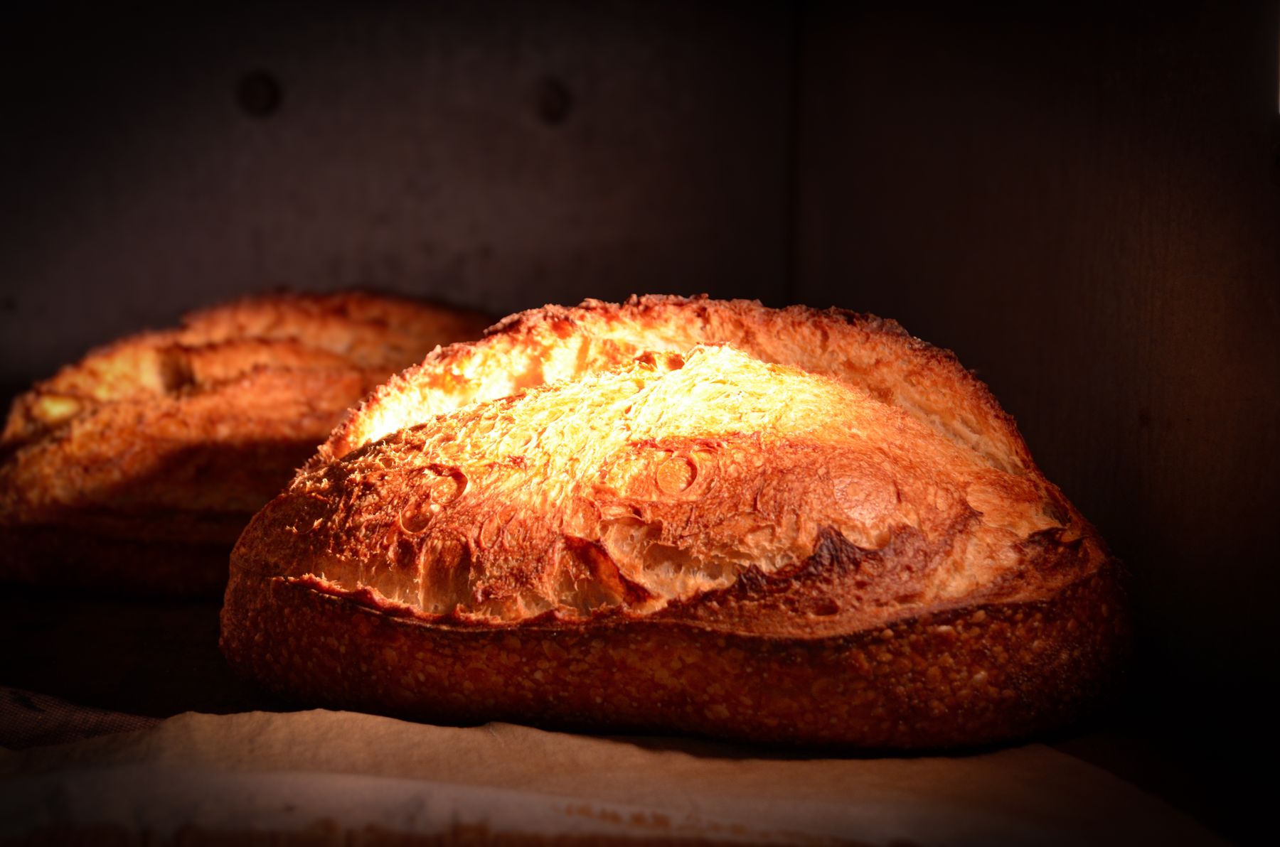 Golden crusty loaves of bread lit warmly in the early morning