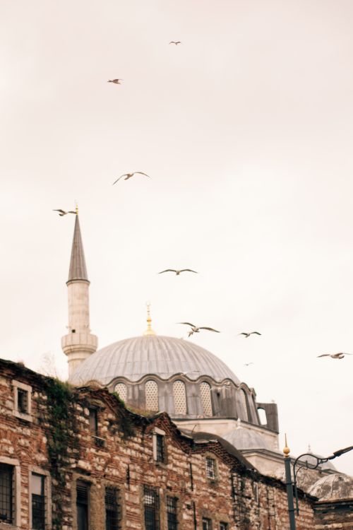 Free A scenic view of a mosque dome with minaret surrounded by birds in the sky. Stock Photo