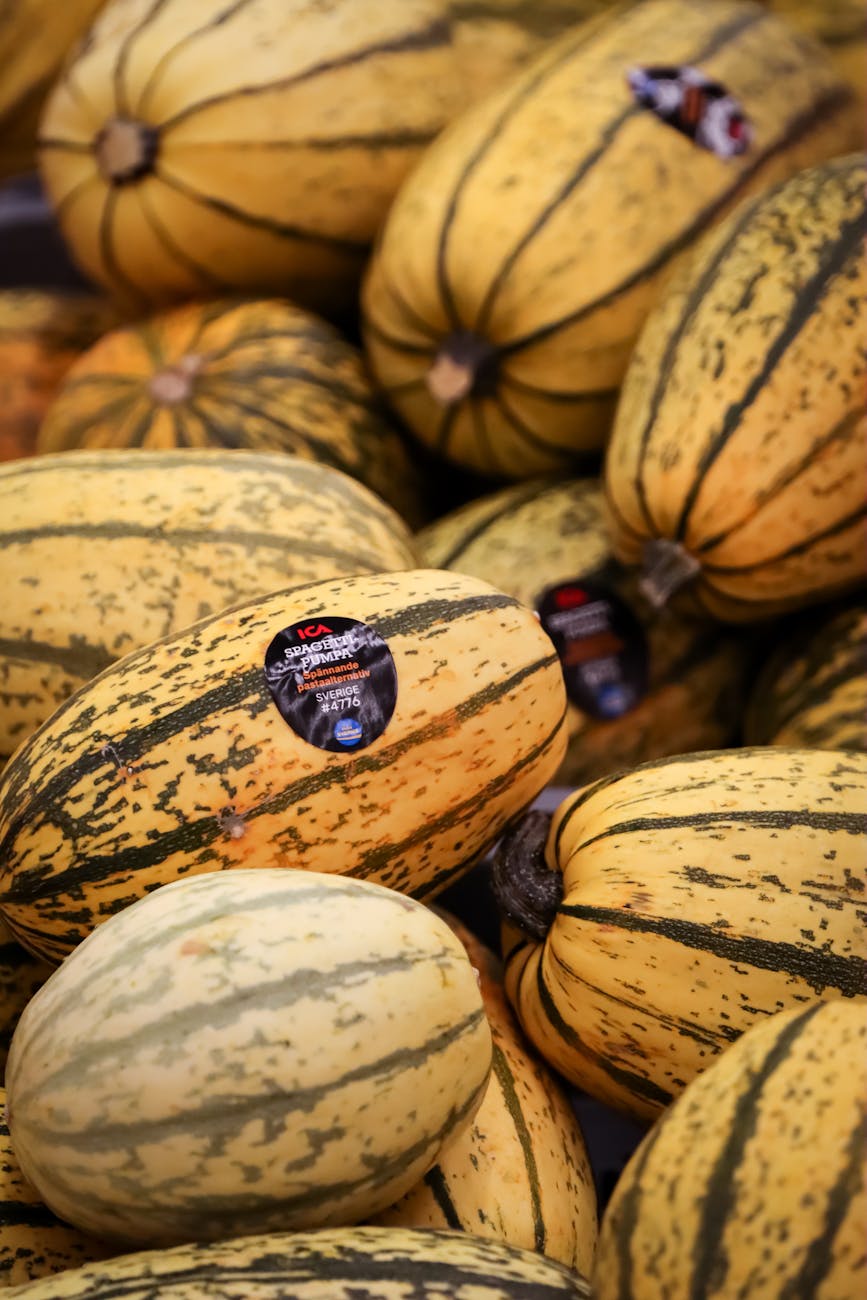 winter squash harvest indicators