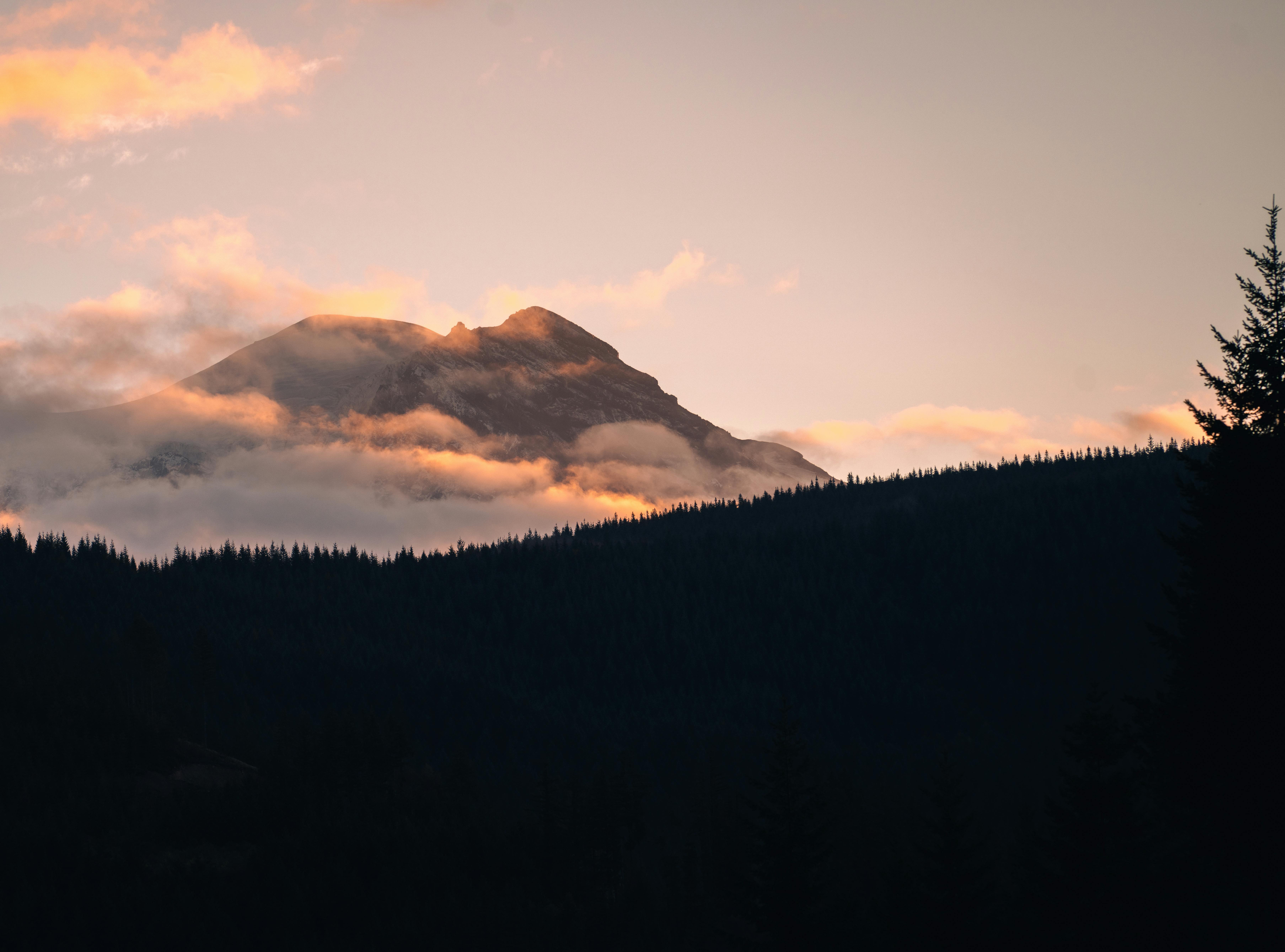 Breathtaking view of Mount Rainier at sunrise with misty clouds and forest silhouette.
