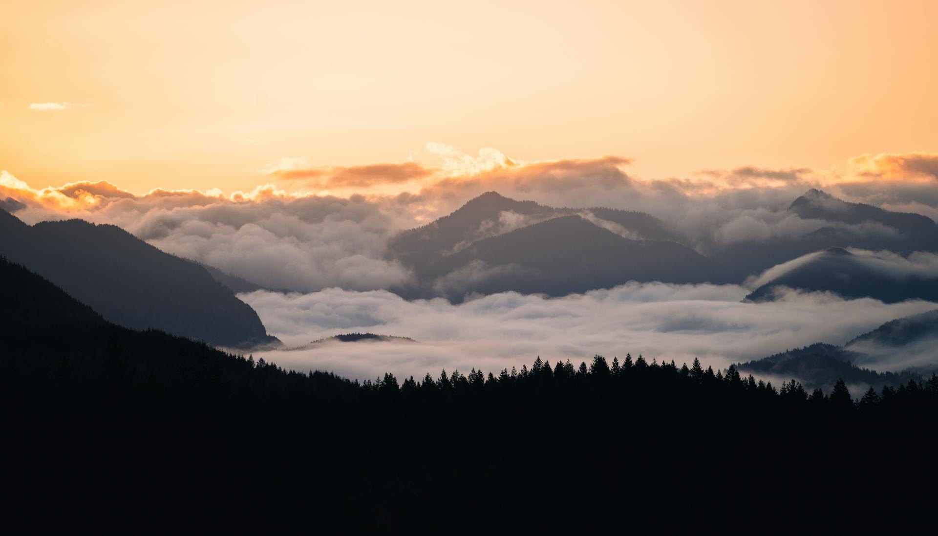 Sunrise Over Misty Mountain Range in Washington