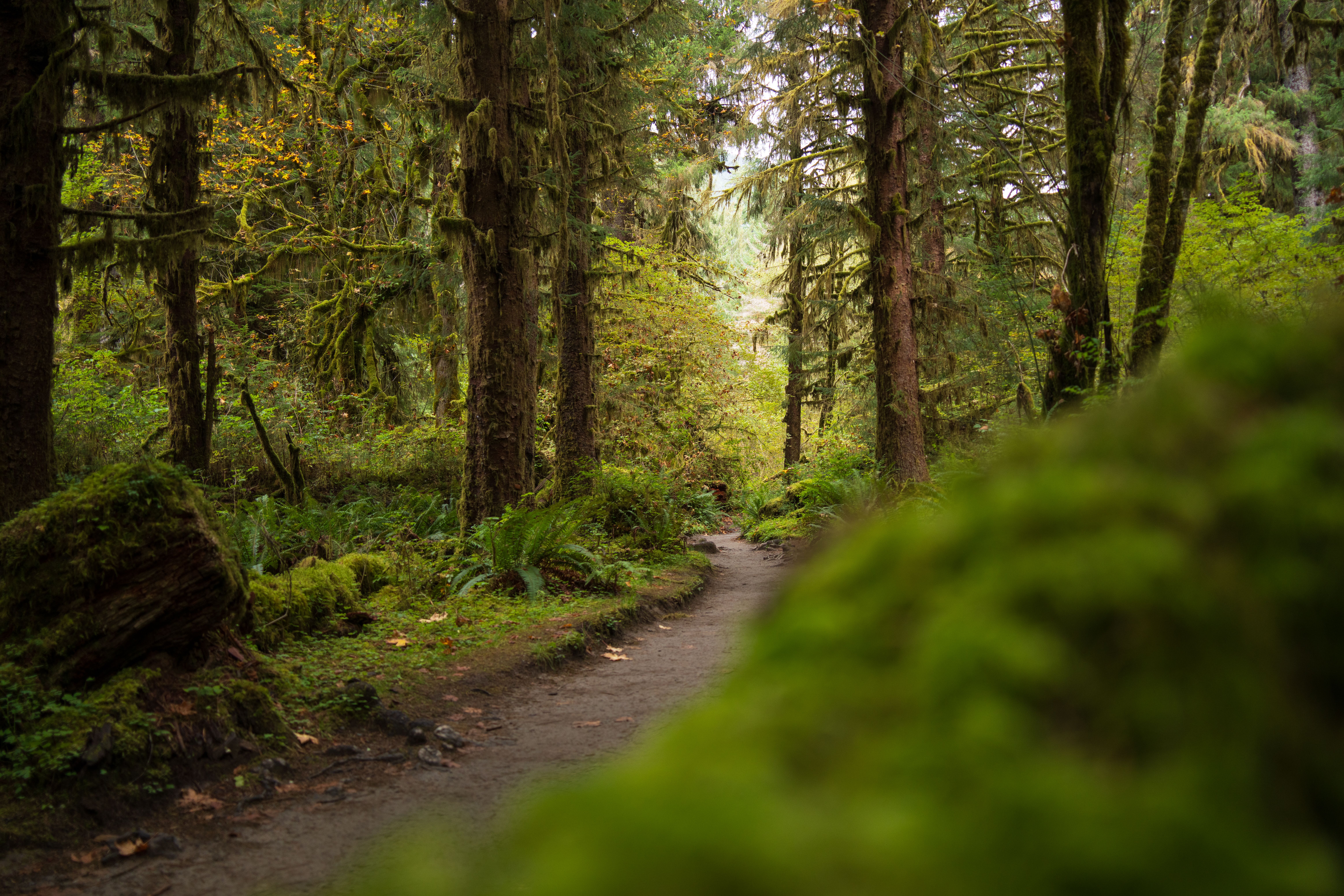 Washington Property Taxes 2026: What Western WA Homeowners Pay