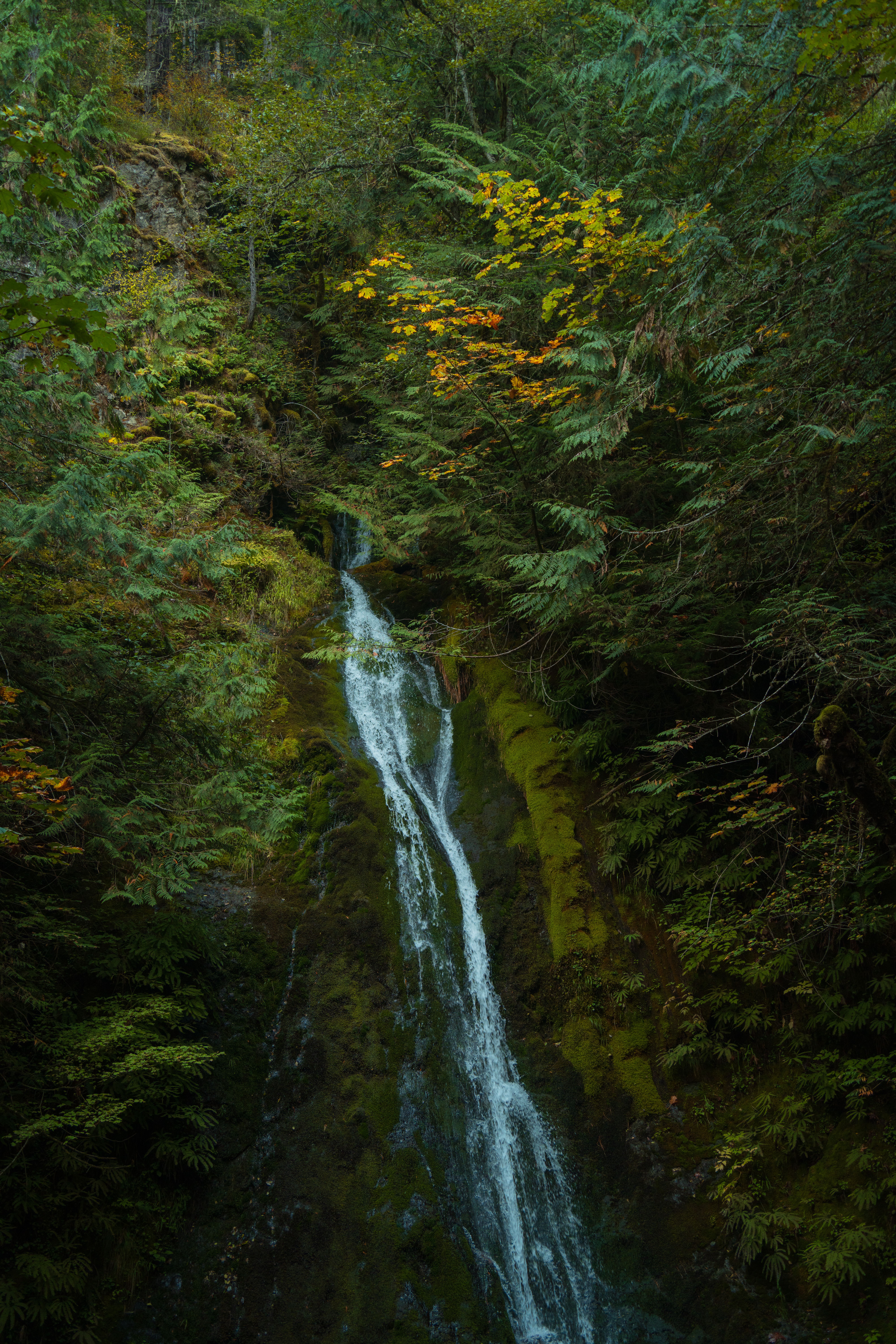 Twin Falls, Olallie State Park