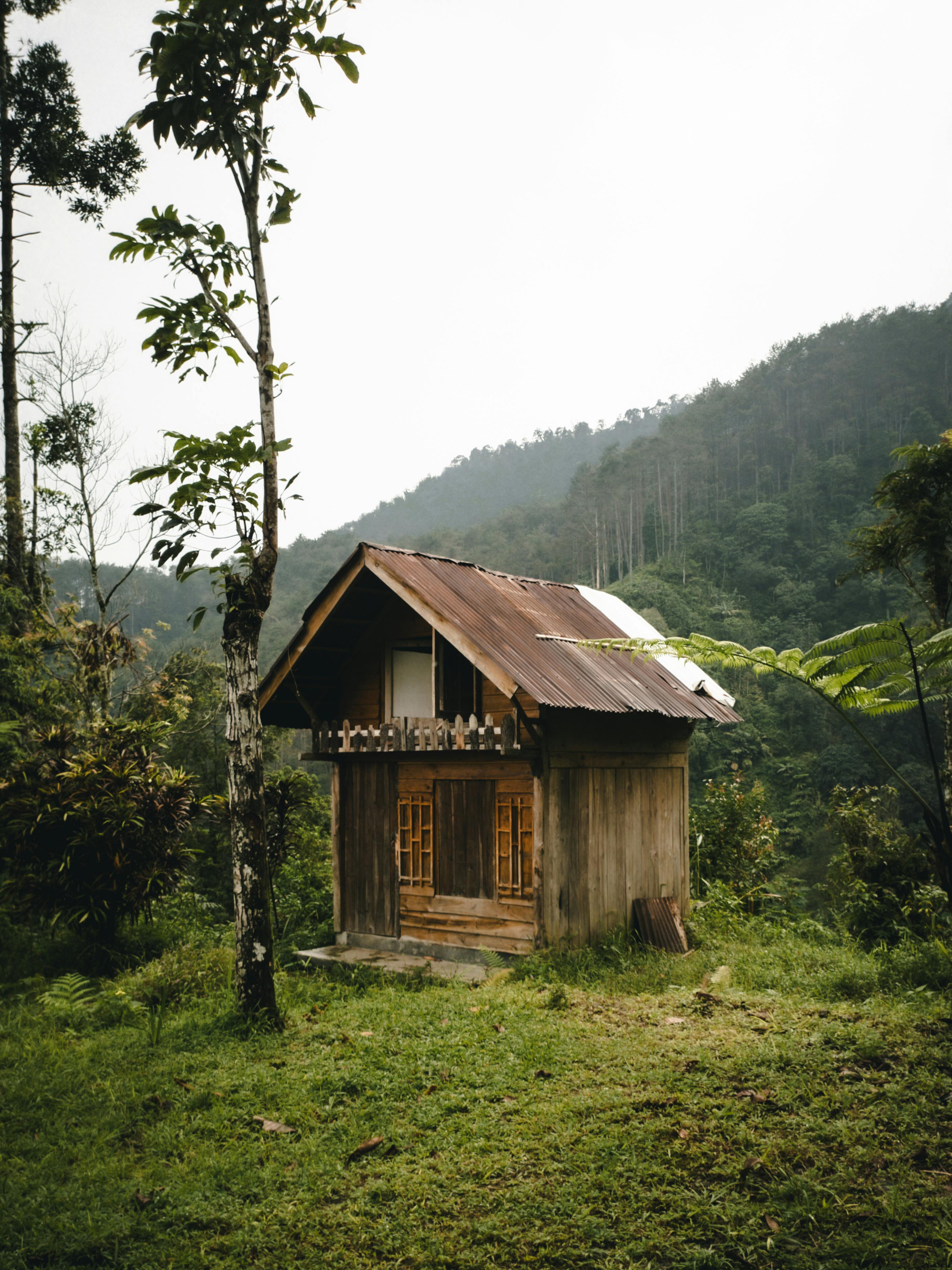 Charming wooden cabin nestled in a verdant forest setting, perfect for nature escapes.