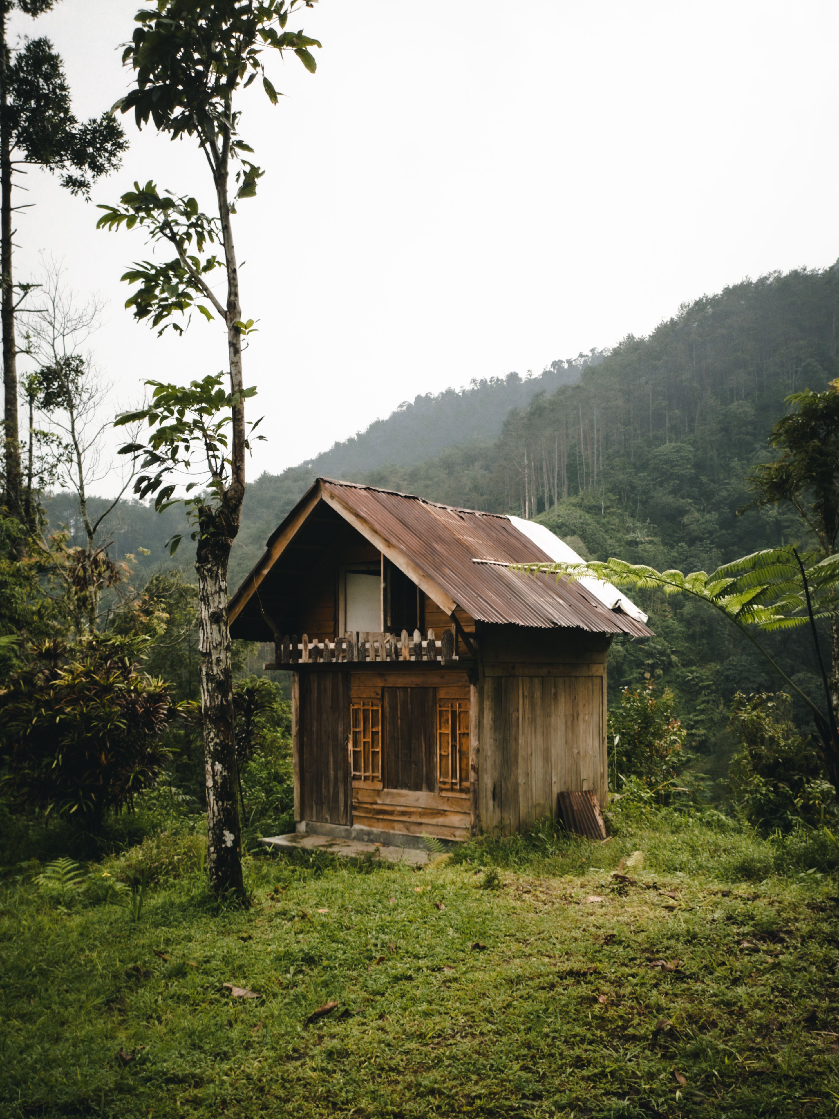 Rustic Wooden Cabin in Lush Green Forest · Free Stock Photo