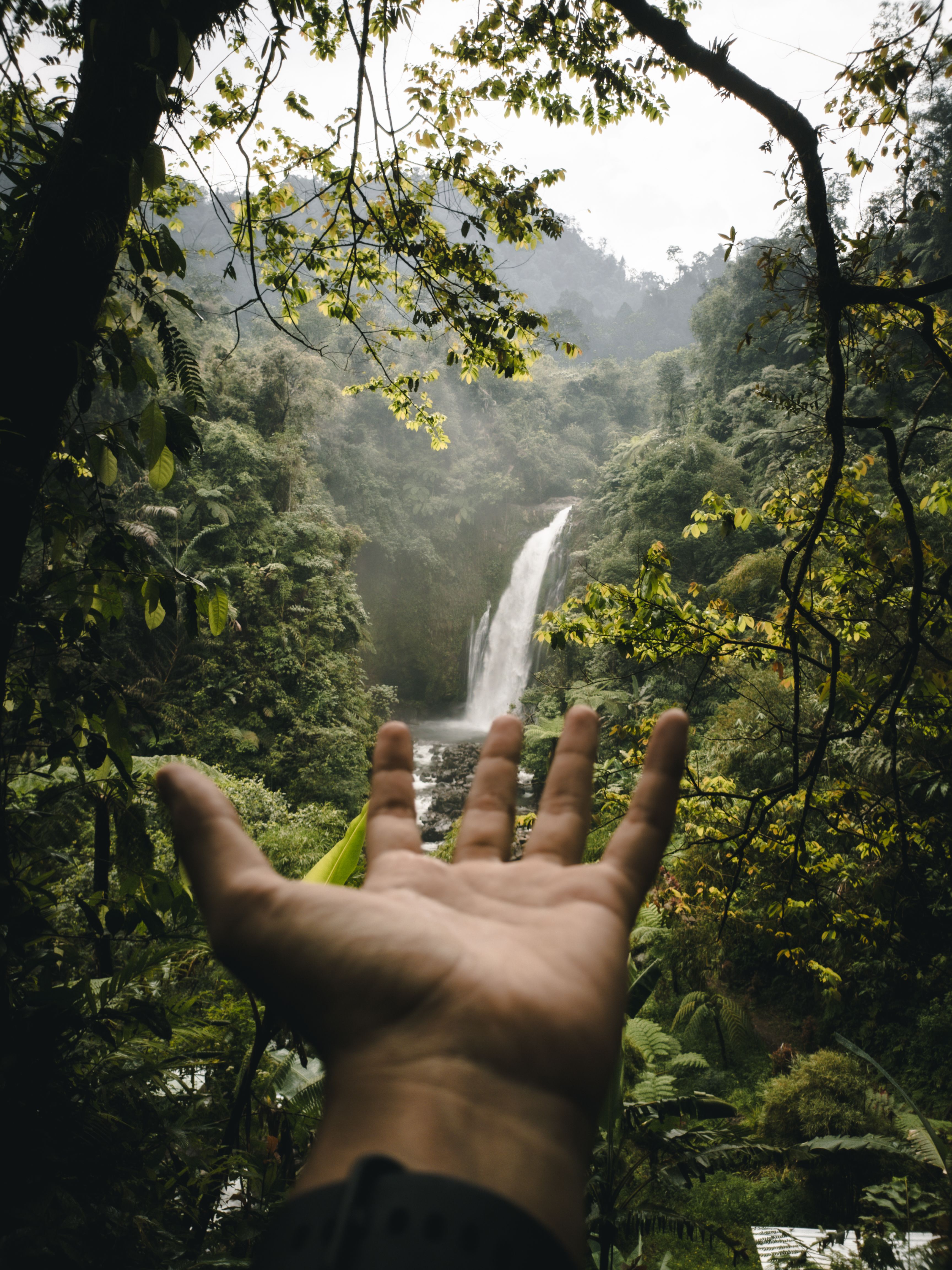 Inviting Hand Reaching Towards Jungle Waterfall · Free Stock Photo