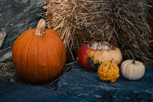 A variety of autumn pumpkins and gourds next to a rustic hay bale outdoors.