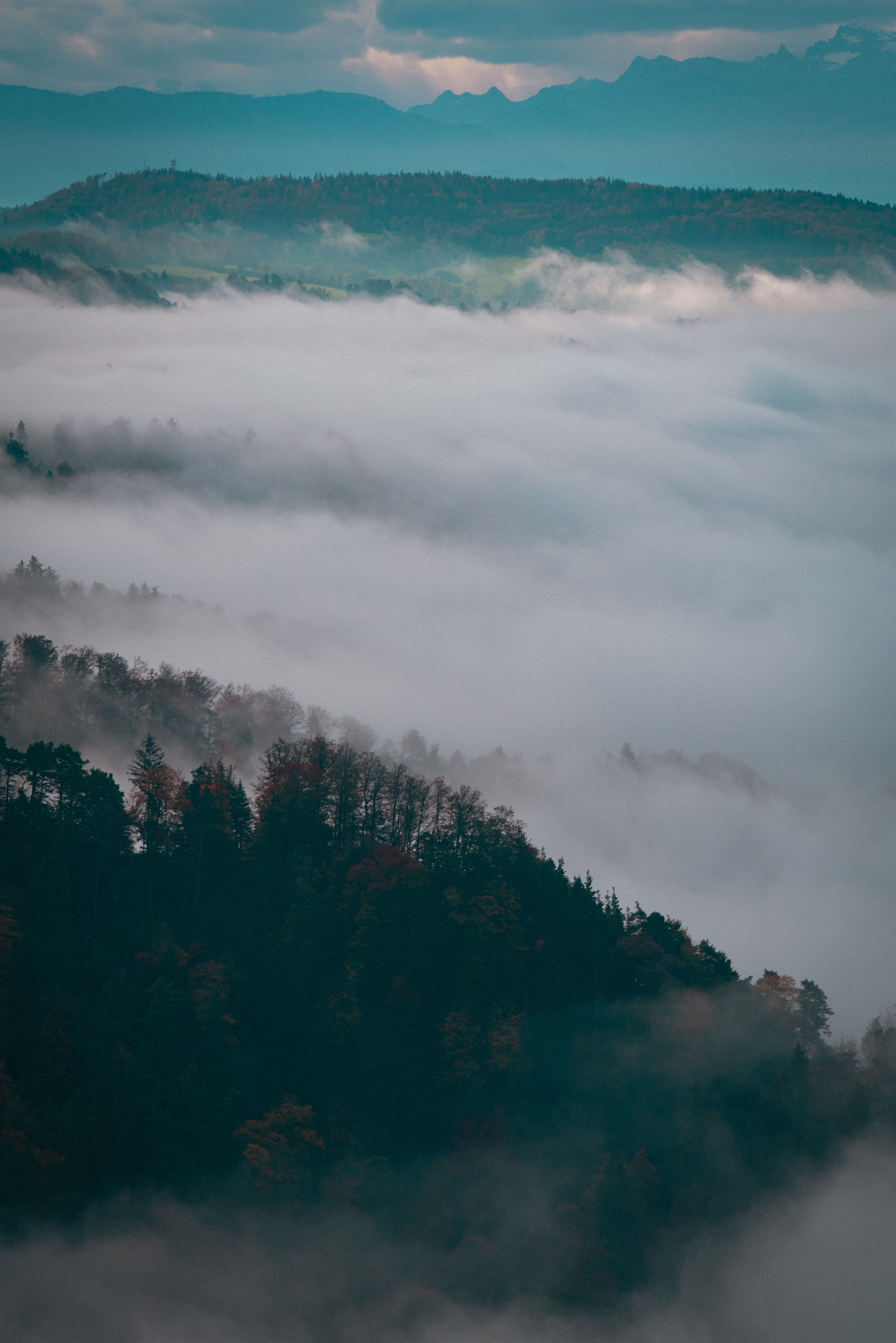 Misty Mountain Landscape with Dense Forest · Free Stock Photo
