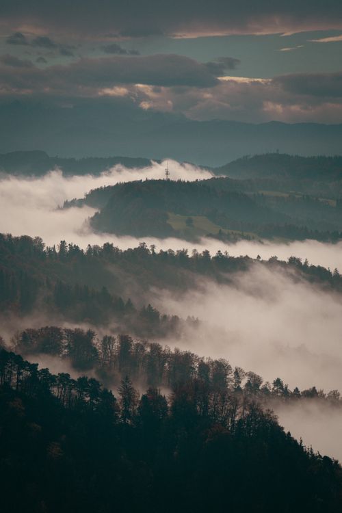 Free A serene view of rolling hills and mist enveloping a dense forest at dawn, creating a mystical landscape. Stock Photo