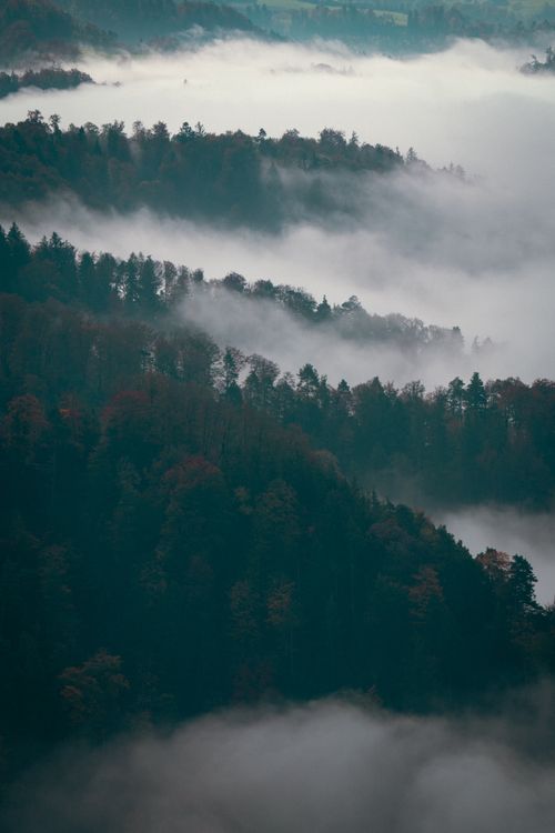Free A beautiful aerial view of a misty forest enveloped in dense fog, capturing a serene and mysterious atmosphere. Stock Photo