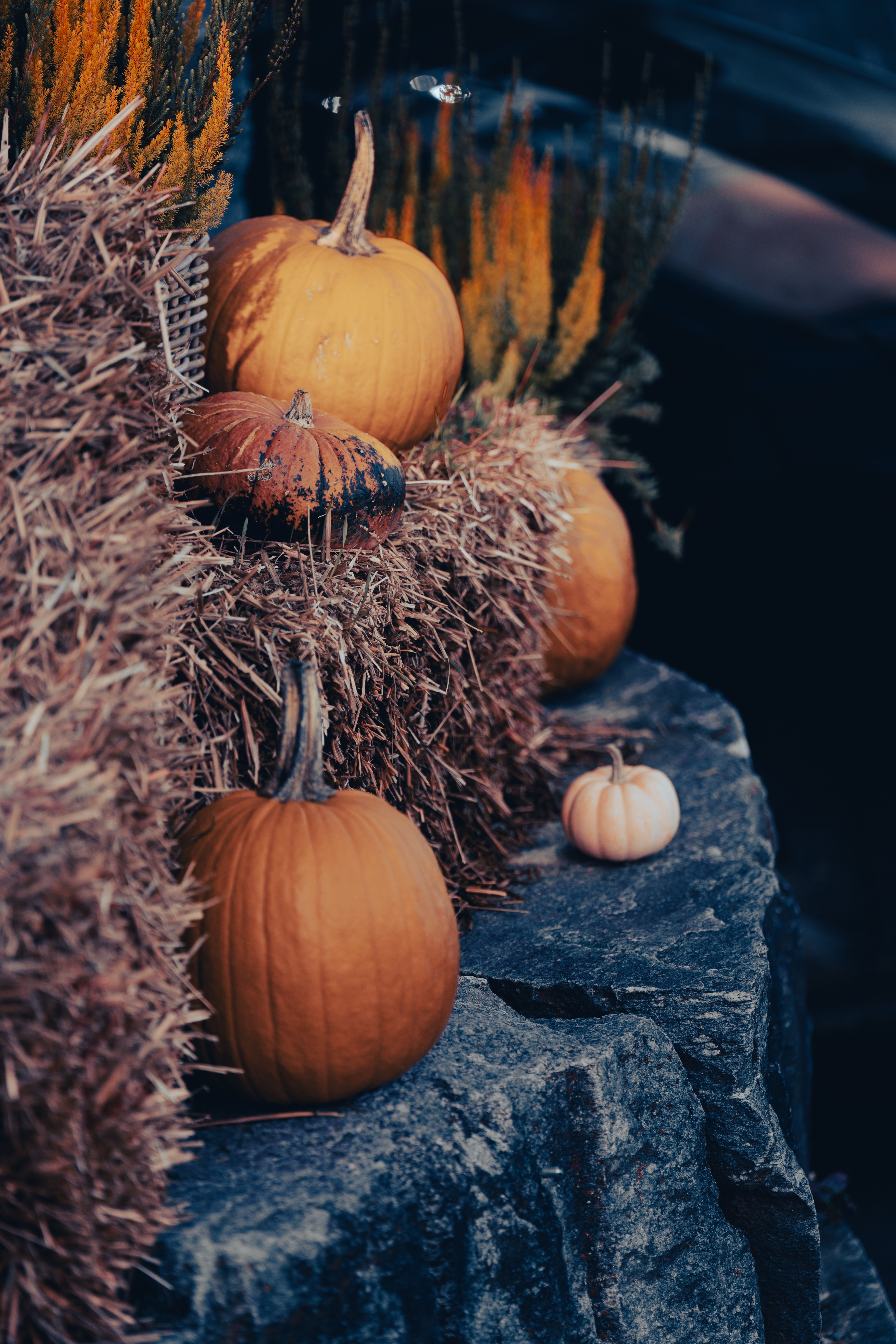 Autumn Pumpkin Display on Rustic Hay Bales · Free Stock Photo