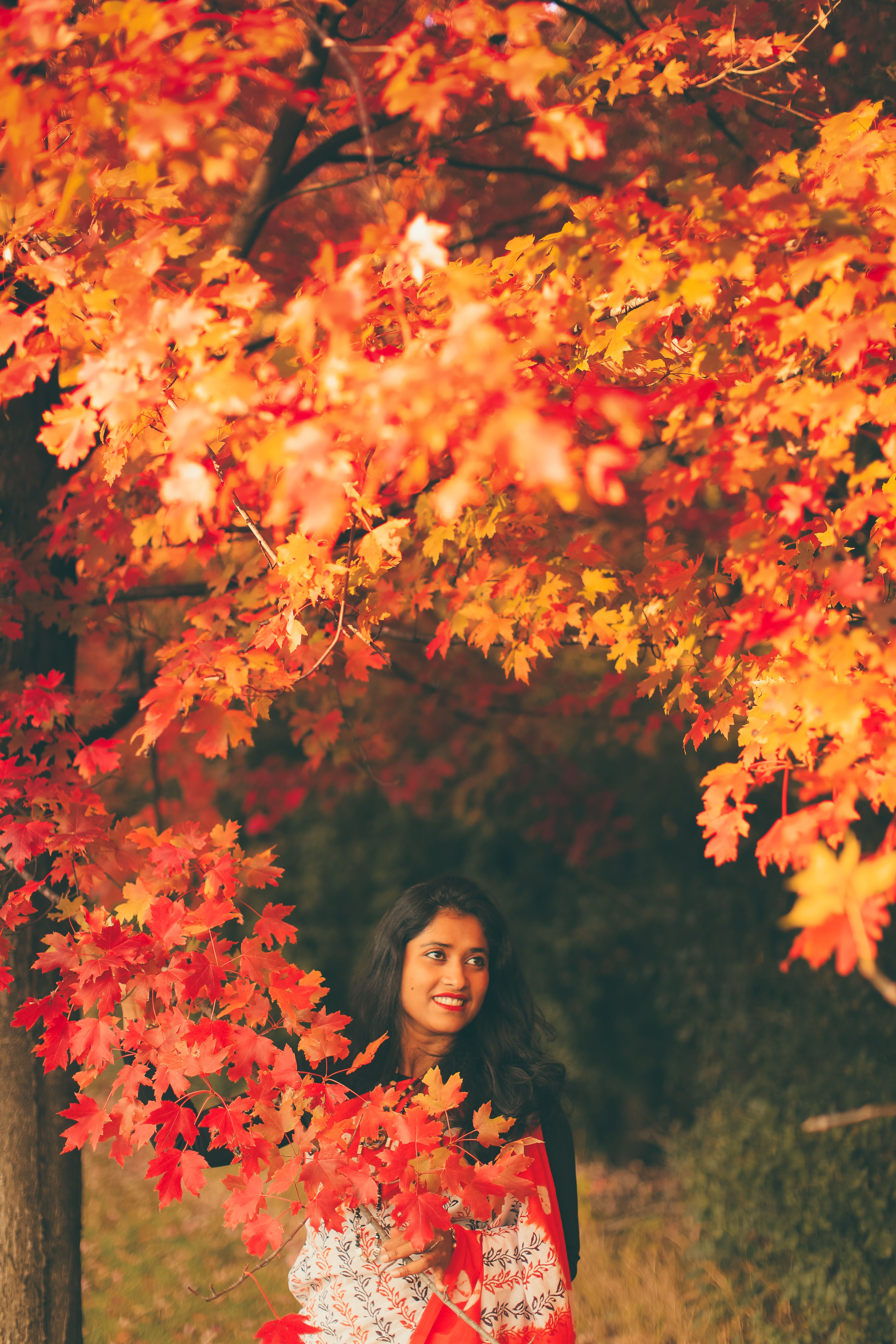 Woman Enjoying Autumn Colors in a Park · Free Stock Photo