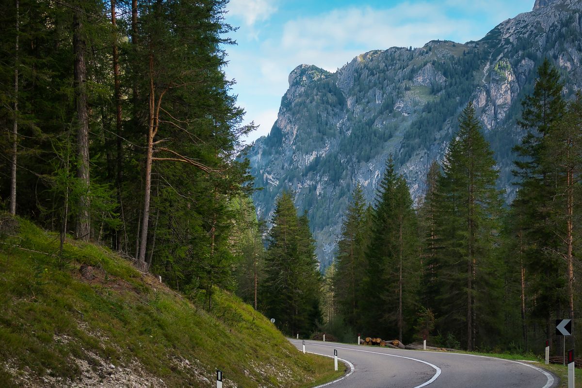 Scenic Mountain Road Through Alpine Forest · Free Stock Photo