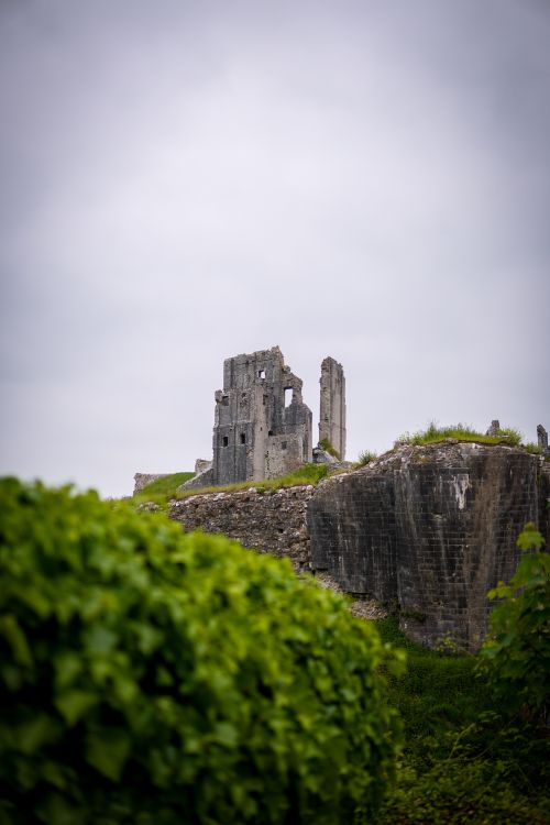Ruins of Ancient Castle Amidst Greenery · Free Stock Photo