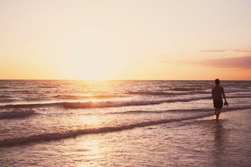무료 황금 시간 동안 해변에 서있는 사람 스톡 사진