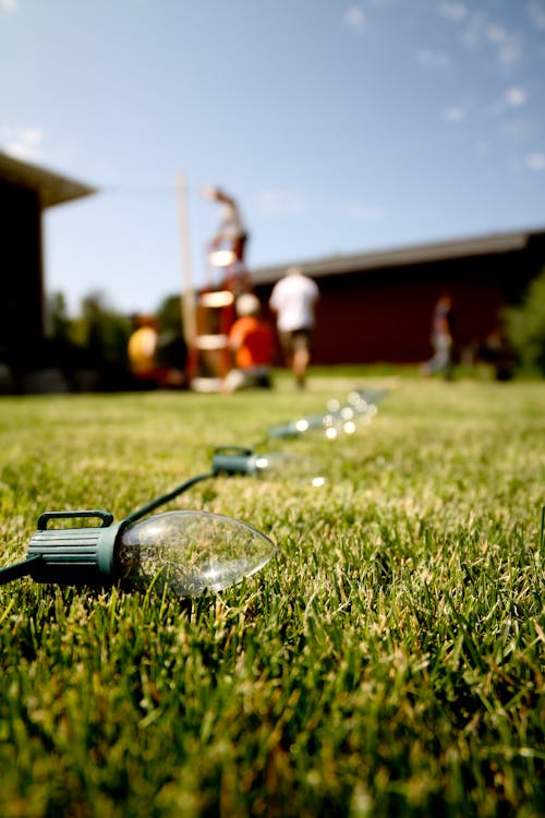 Close-Up Photo of String Lights on Grass Field