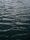 wasser
