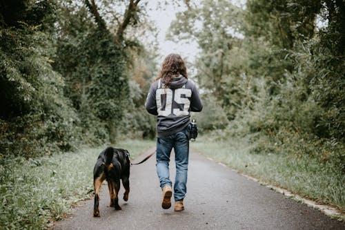 Man HoldingWalking  Dog