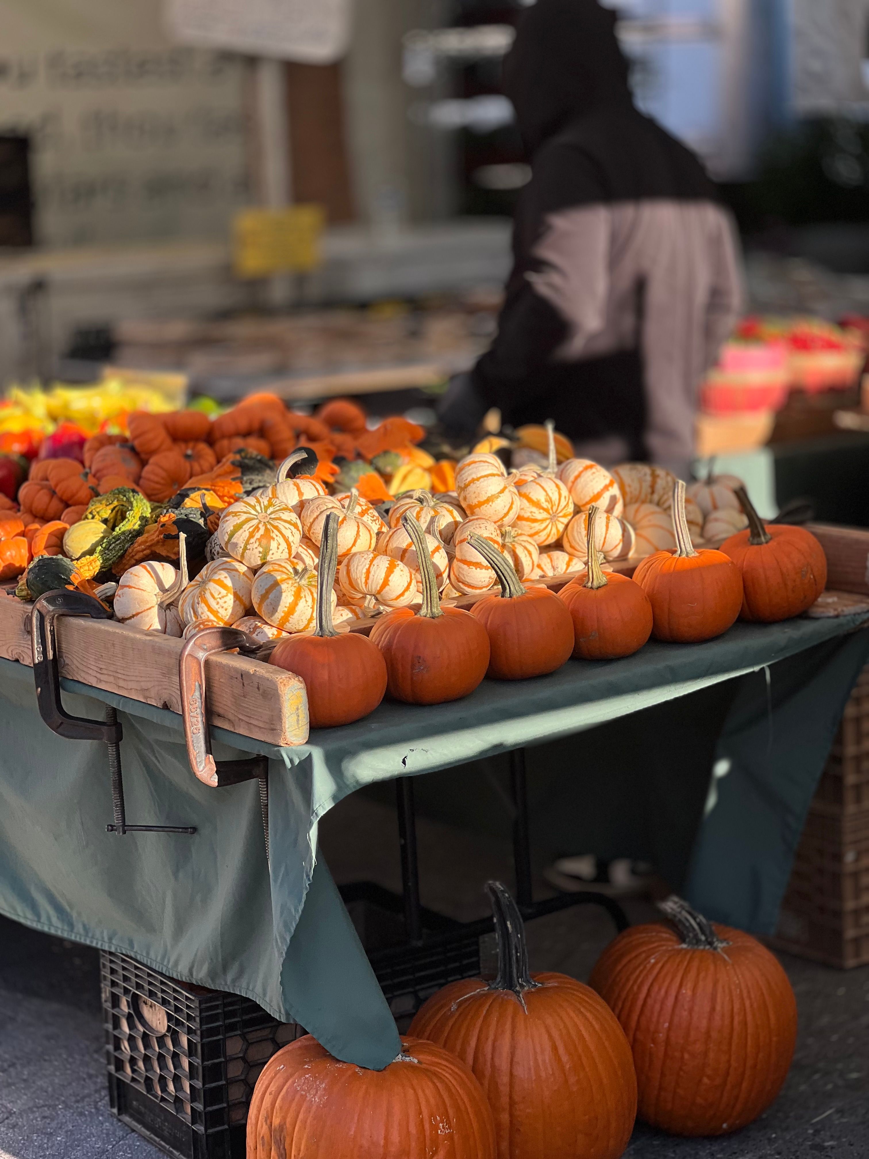 Vibrant display of pumpkins at an outdoor autumn market stall with a person in the background.. vibrant, display, pumpkins