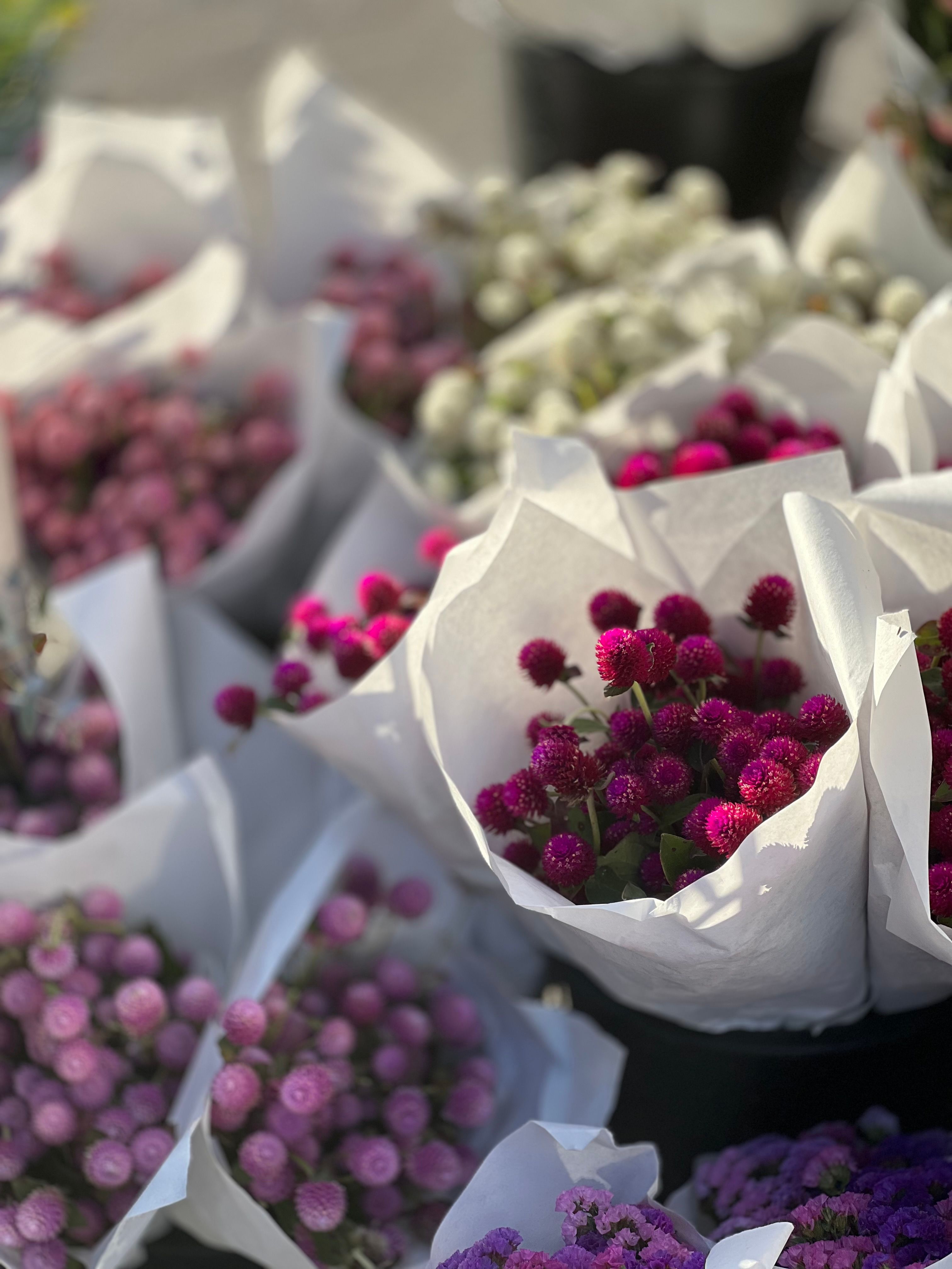 [ColoSach]-vibrant-assortment-of-purple-and-pink-flowers-wrapped-in-white-paper-at-a-market.