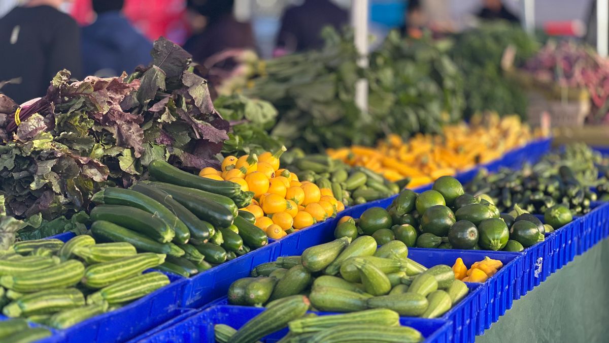 Séjour gastronomique en Camargue : circuits courts et producteurs locaux
