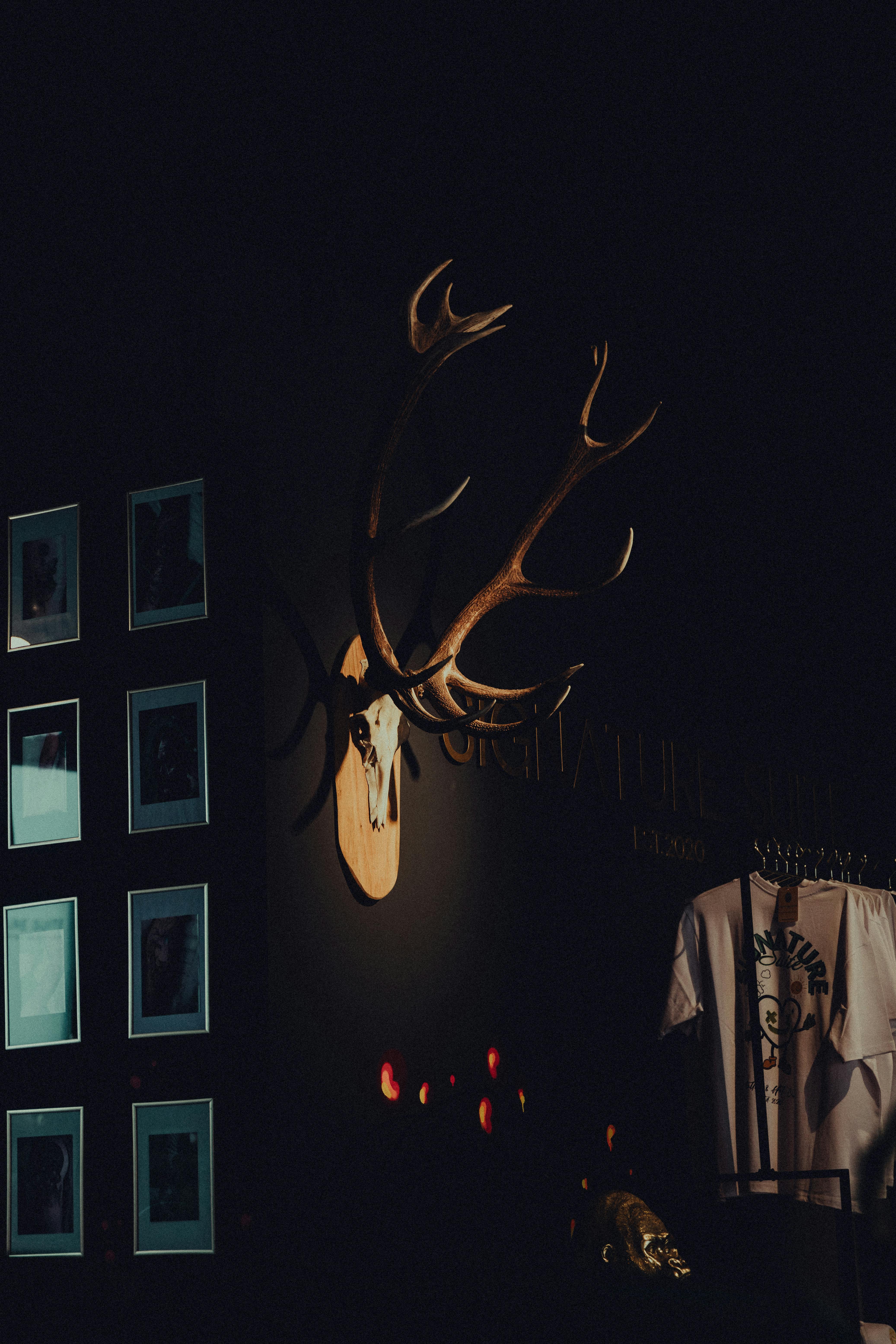 無料 タトゥーアーティストとの写真撮影。  写真素材